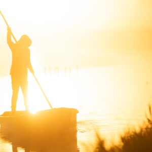 Une demi-journée en Brière
