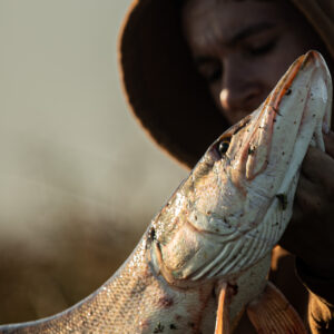 Stage de pêche en Écosse
