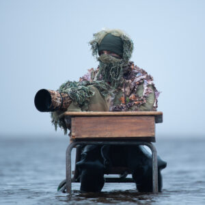 Stage nature éthique